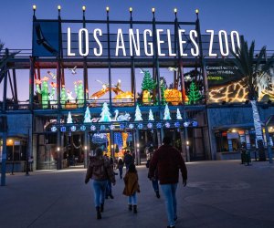 New Year's Day in Los Angeles: Fun Things To Do with Kids: LA Zoo