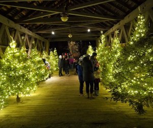 After walking through the holiday trees, listen to colonial music and seek out the roaring bonfire at Christmas by Candlelight in Old Sturbridge Village. Photo courtesy of Osv.org