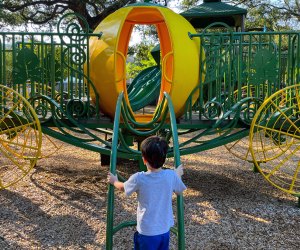 Pumpkin Park in River Oaks. Photo by Jessica Stautberg