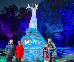 Image of a family at Harry Potter Patronus statue, Best of 2022