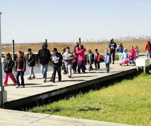 The Long Island Maritime Museum is worth a visit any time of year. Photo courtesy of the museum