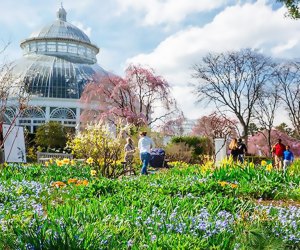 Things to do in NYC: New York Botanical Garden