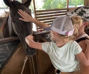 Meet the horses and enjoy a free ride at Happi Farm in Davie. Photo courtesy of the farm