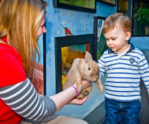 You'll feel warm and fuzzy after all these fun things to do with preschoolers in Connecticut! Photo courtesy of the Lutz Children's Museum