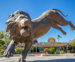 See the San Diego Zoo Like a Local: Our Tips and Tricks
