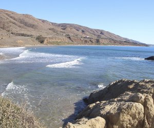 Dog-Friendly Beaches Near Los Angeles: Leo Carrillo Beach