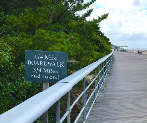 Long Island Fall fun Take in the scenic views of the shoreline on a beach walk