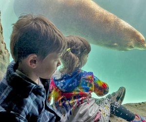 Best museums Long Island Long Island Aquarium