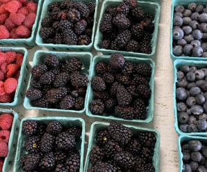 baskets of berries at Seven Ponds Orchard