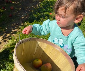 Long Island fall fun Kick the season off with an apple-picking