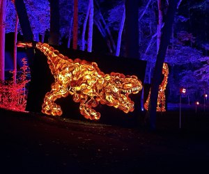 Long Island Fall Fun: The Great Jack O'Lantern Blaze 