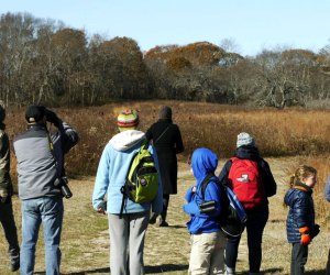 Kiddos can go birding with an educator in Vineyard Field at the South Fork Natural History Museum. Photo courtesy of the museum