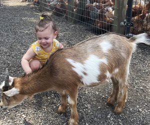Babies 2 and younger can pet the goats, alpacas, and ponies for free at Fink’s Country Farm.