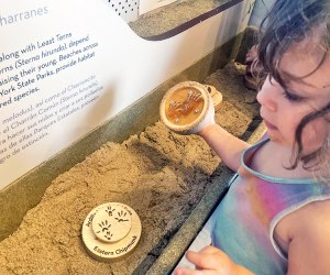 Jones Beach Energy and Nature Center's interactive exhibits are free.