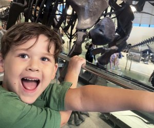 AMNH Free summer events on Long Island