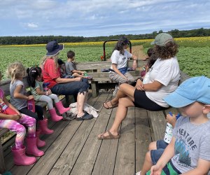 Hayrides on Long Island 