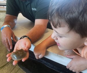 Visiting the Jones Beach Nature Center with Kids: Everything You Need to Know