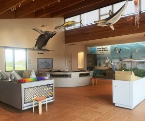 Visiting the Jones Beach Nature Center with Kids: Everything You Need to Know