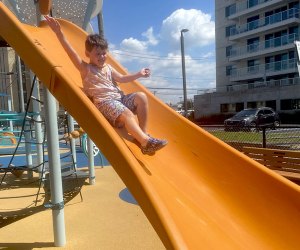 Magnolia Park Playground Debuts in Long Beach: The big slide