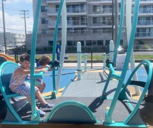 Magnolia Park Playground Debuts in Long Beach: This unique swing allows kids to ride while still in their wheelchair.
