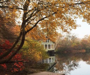 The Quogue Wildlife Nature Preserve is open daily and is free of charge. Photo courtesy of the Quogue Lake Wildlife Refuge