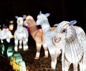 Open on Christmas on Long Island: New York Winter Lantern Festival in Suffolk County