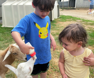 Long Island Summer Bucket List: Animal Farm and Petting Zoo Park in Manorville.