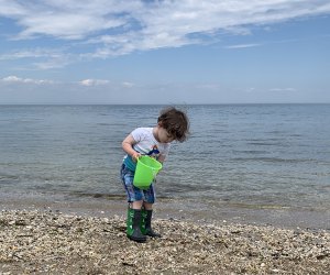 Toddler-friendly hiking trails on Long Island Sunken Meadow State Park