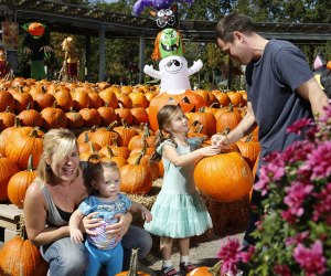 Get your pumpkins, meet Otto the Ghost, and enjoy the fall festivities at Hicks Nurseries. Photo courtesy of the nursery