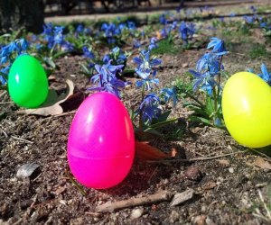 Get set for some roaring fun as the Center for Science Teaching and Learning hosts a Dino Egg Hunt. Photo courtesy of CSTL