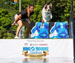 Catch some impressive pup performances at the Port Jefferson dog festival. Photo by Dianne Ferrer/Port Paws