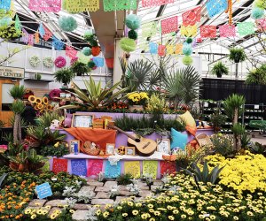 Hicks Nurseries offers visitors an early glimpse of spring at its Flower & Garden Show this weekend. Photo by Jennifer Voit