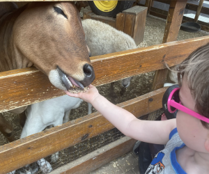 Feed the goats at White Post Farms