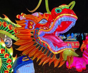 Enter an unforgettable world of light, color, and photo ops at the Winter Lantern Festival at the Queens County Farm Museum. Photo courtesy of the farm