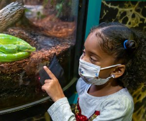 Things To Do in New Jersey This Weekend and Beyond: Ice Harvest, Groundhog Day, and More Bring your preschoolers to the Liberty Science Center every Thursday and Friday for Junior Days. Photo courtesy of LSC