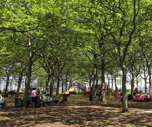 Liberty State Park boasts picnic spots, a playground, riverfront paths, and stunning views of NYC. Photo by Ken Lund via Flickr