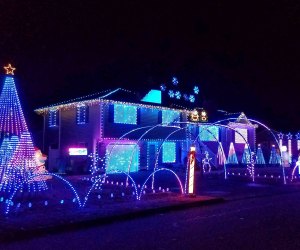 Christmas Light Installation Bellevue WA