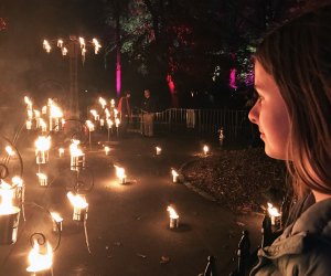 Brooklyn Botanical Garden's Lightscape. holiday activities