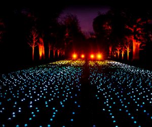 Christmas Light Displays in Los Angeles:Lightscape at the Arboretum
