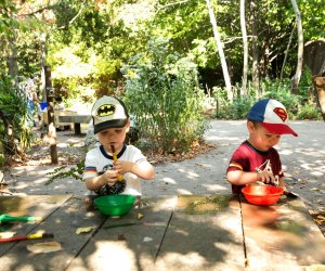 Free activities for kids in Chicago include the Lincoln Park Zoo, which is always free. Photo courtesy of the museum via Facebook