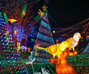 The zoo is all aglow! Lincoln Park Zoo Lights photo by Brandon Tucker, courtesy of the zoo.