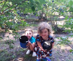 Kids holding buckets of blueberries at Lindsay's Farm