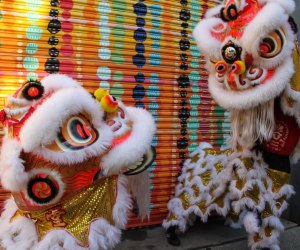 Celebrate Lunar New Year with lion dancers at Burke Centre Library. Photo courtesy of the library