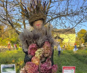 Connecticut has plenty not-so-scary Halloween activities, like Scarecrows in the Meadow in Litchfield. Photo from the 2023 event.