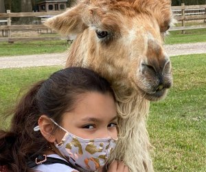 Petting Zoos Near Houston Where Kids Can See Farm Animals | Mommy Poppins -  Things To Do in Houston with Kids