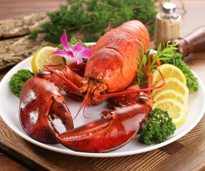 Image of lobster - Visiting Acadia National Park