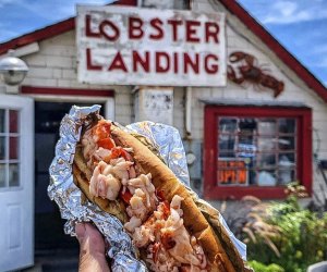 Fun Things To Do with Dad on Father's Day 2022: Grab a Lobster Roll!