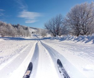 Cross-country skiing on Long Island makes for a perfect, crowd-free winter outing.