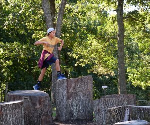 ​Jump across stump steps.