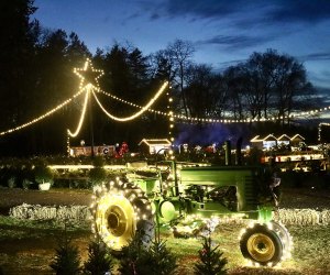 Visiting Santa's Christmas Tree Farm: Christmas lights at Santa's Christmas Tree Farm